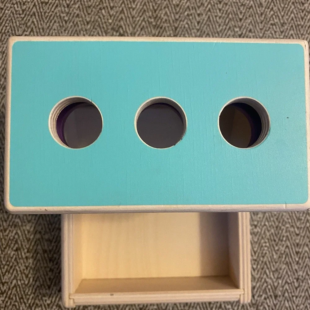 Lovevery‎ Wooden Peg Drop NO PEGS Thinker Play Kit Months 11-12 Baby Montessori